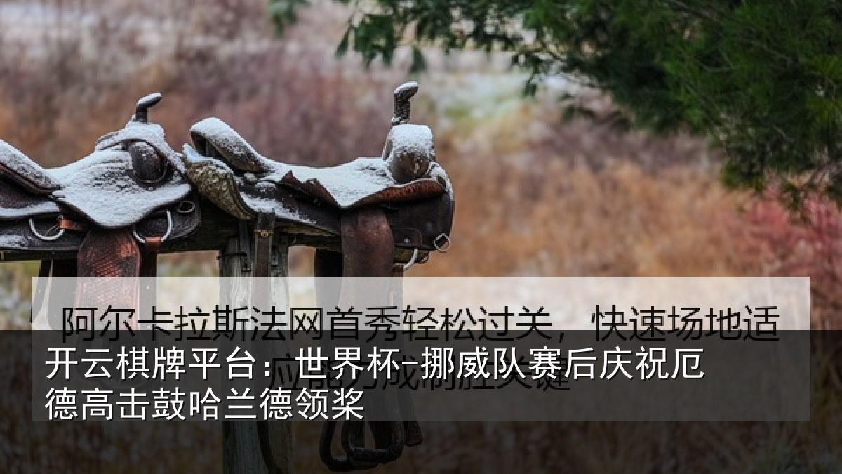 开云棋牌平台：世界杯-挪威队赛后庆祝厄德高击鼓哈兰德领桨