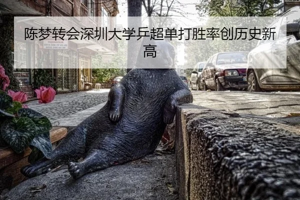 陈梦转会深圳大学乒超单打胜率创历史新高