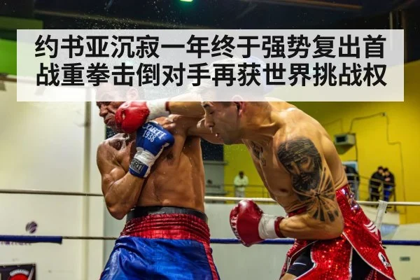 约书亚沉寂一年终于强势复出首战重拳击倒对手再获世界挑战权